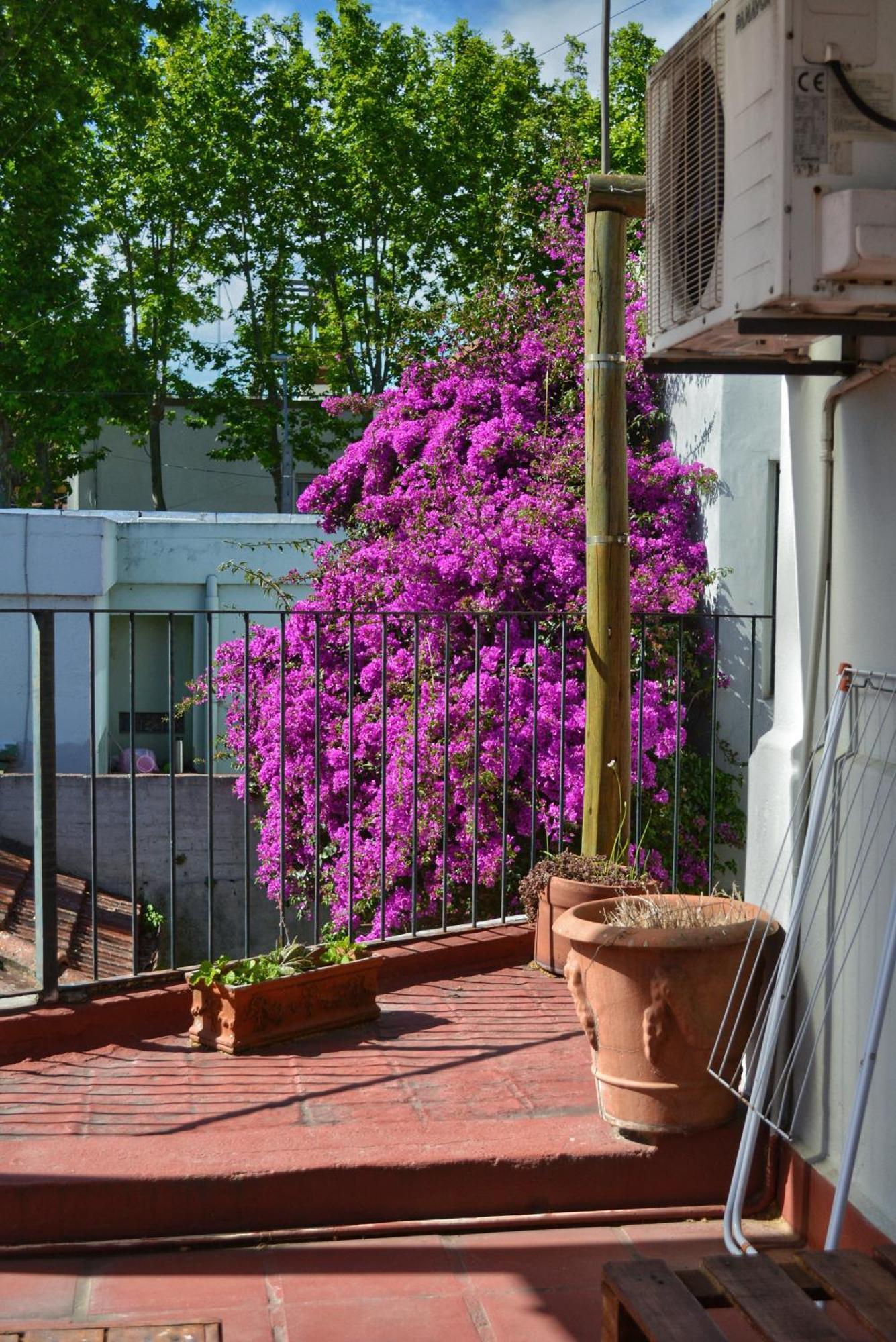 Posada Santa Rita Colonia del Sacramento Dış mekan fotoğraf